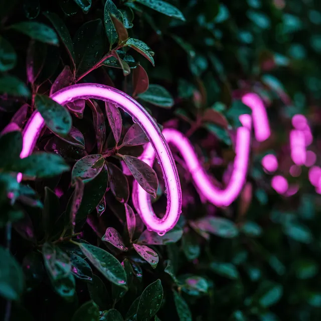 Neon trifft Grünwand. Unser Lieblingslicht.
